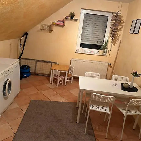 Platzhirsch Eichsfeld *