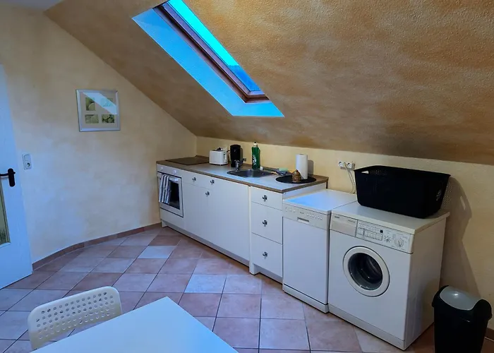 Platzhirsch Eichsfeld Geisleden