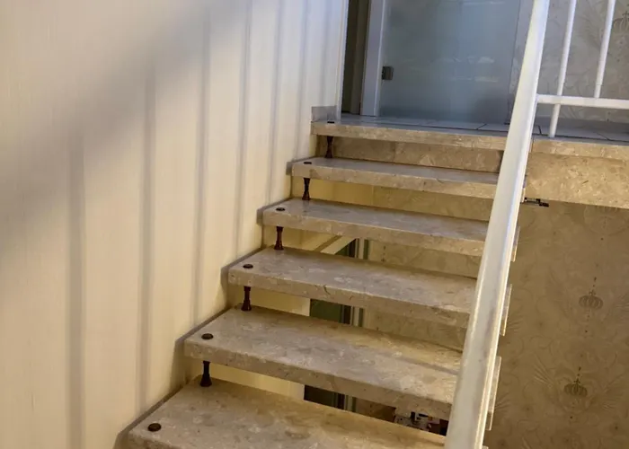 Platzhirsch Eichsfeld