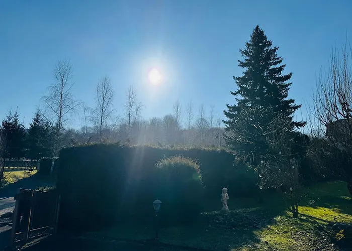 Daire Platzhirsch Eichsfeld