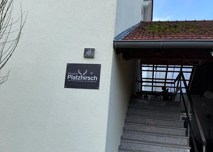 Daire Platzhirsch Eichsfeld *