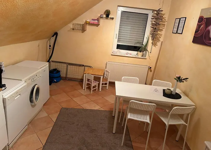 Platzhirsch Eichsfeld *