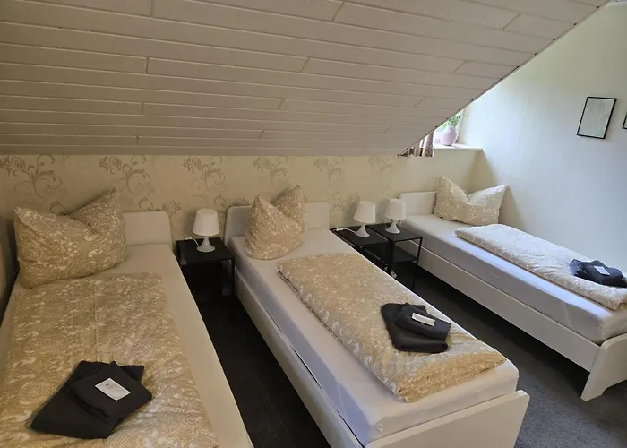 Daire Platzhirsch Eichsfeld *