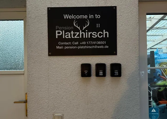 Platzhirsch Eichsfeld